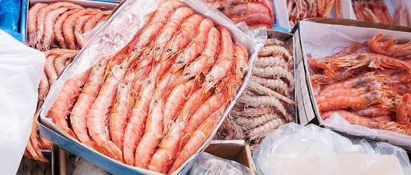 Frozen Seafood